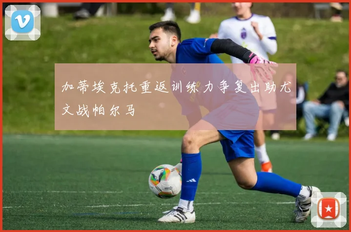 加蒂埃克托重返训练力争复出助尤文战帕尔马